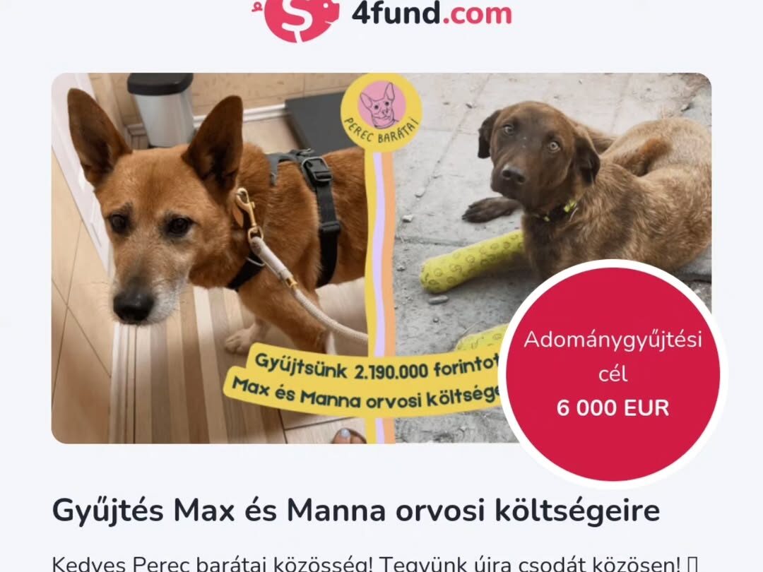 Gyűjtést szerveztek Mannának